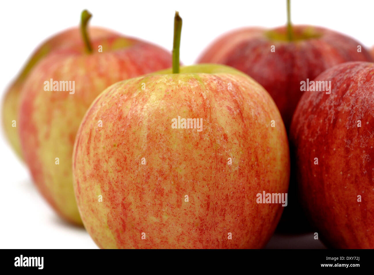 Gala Äpfel Studio weißen Bildhintergrund Stockfoto