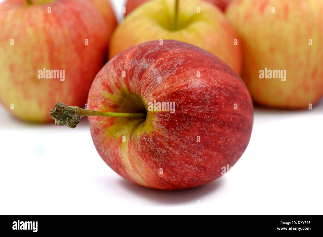 Gala Äpfel Studio weißen Bildhintergrund Stockfoto