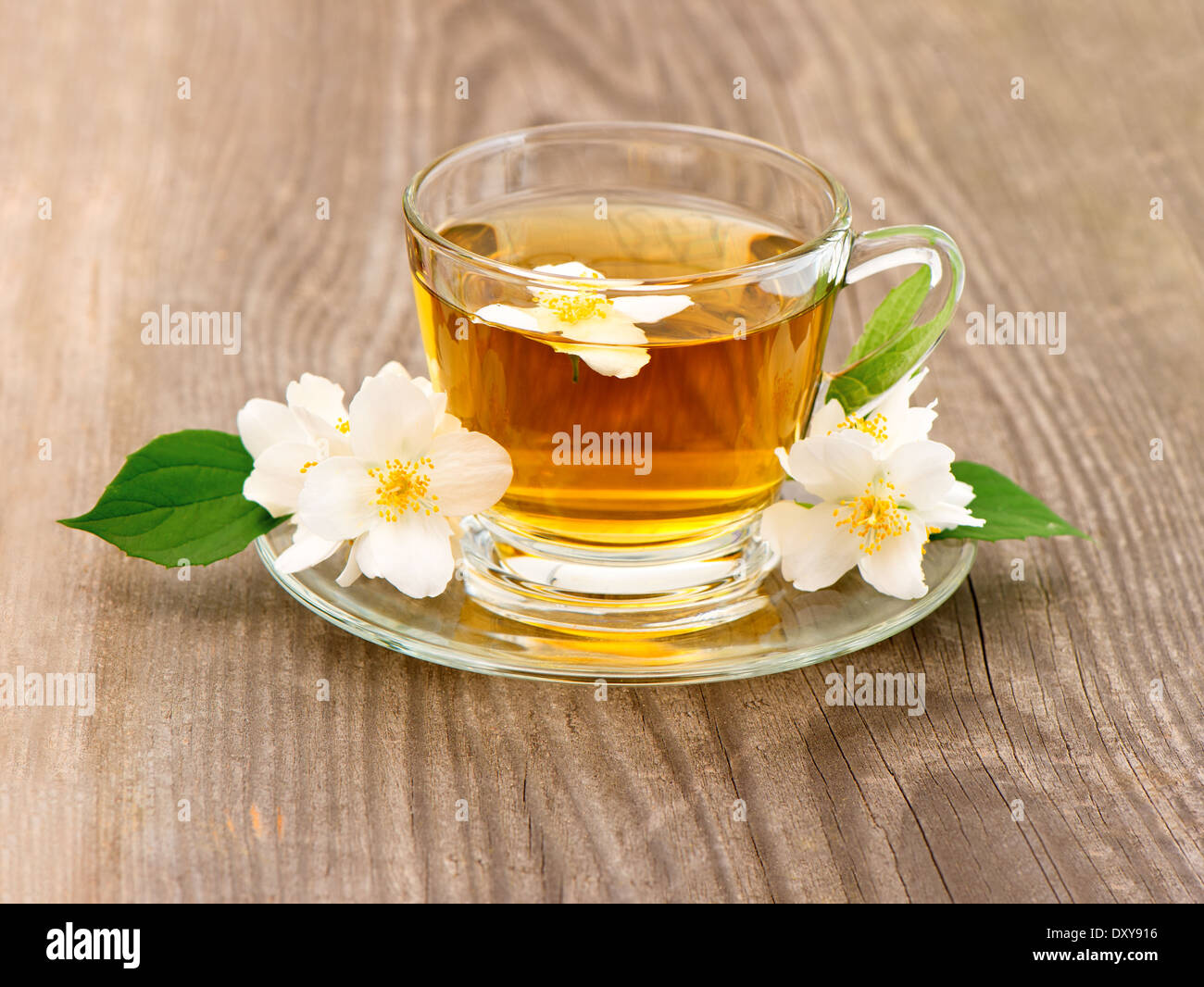 Tasse Tee mit Jasminblüten auf hölzernen Hintergrund Stockfoto