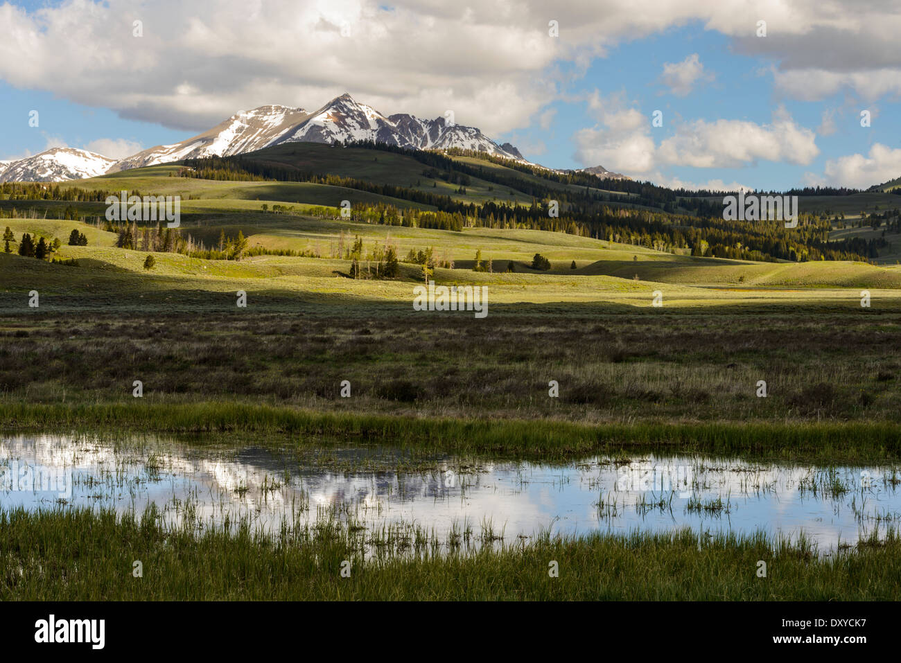 Elektro-Peak im südlichen Montana gesehen vom Yellowstone National Park. Stockfoto