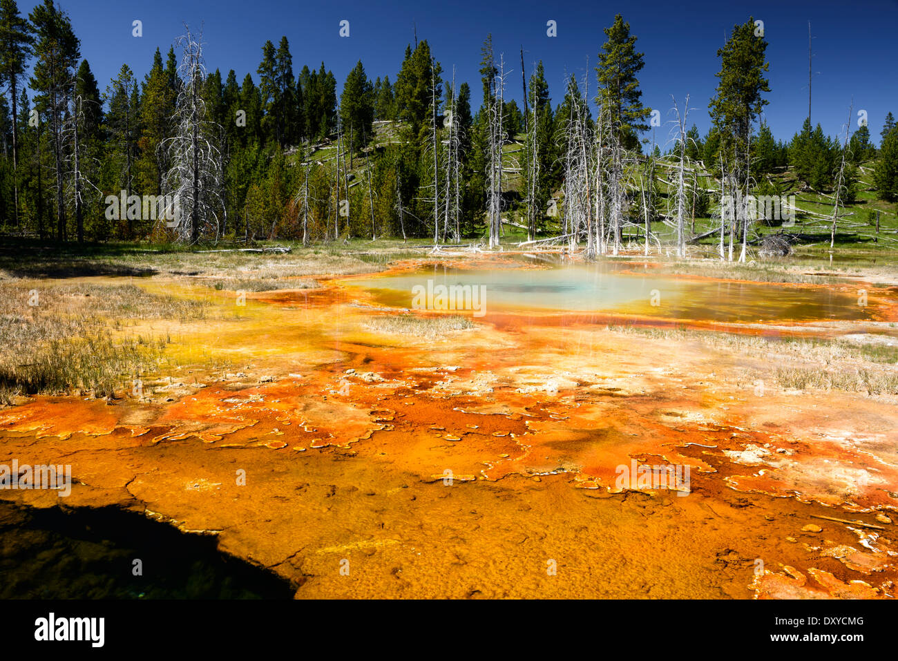 Kette-See und bodenlose Grube Pools Teil des Upper Geyser Basin, Yellowstone-Nationalpark. Stockfoto