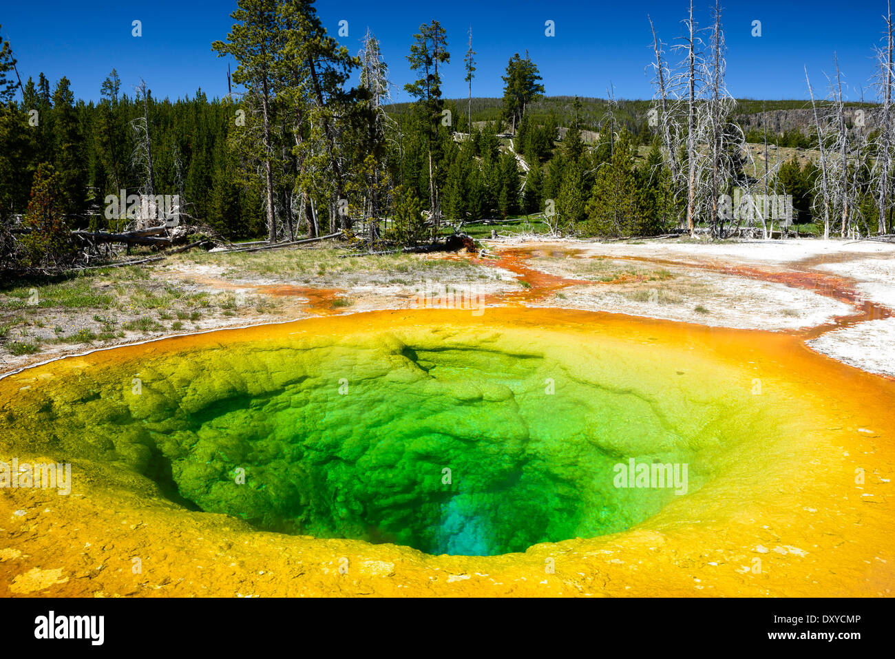 Morning Glory Pool Teil des Upper Geyser Basin, Yellowstone-Nationalpark. Stockfoto