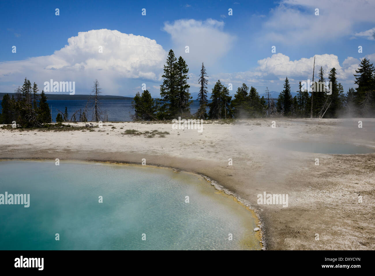 Blue Funnel Spring ist eine heiße Quelle befindet sich in der unteren Gruppe der West Thumb Becken auf dem Ufer von Yellowstone See. Stockfoto