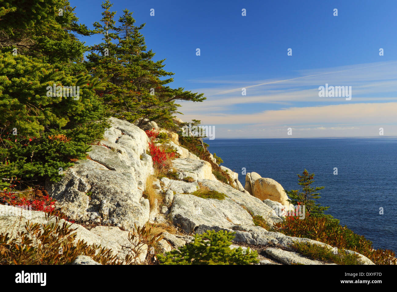 Herring Cove Landzunge mit Blick auf den Atlantischen Ozean - Halifax, Nova Scotia, Kanada. Stockfoto