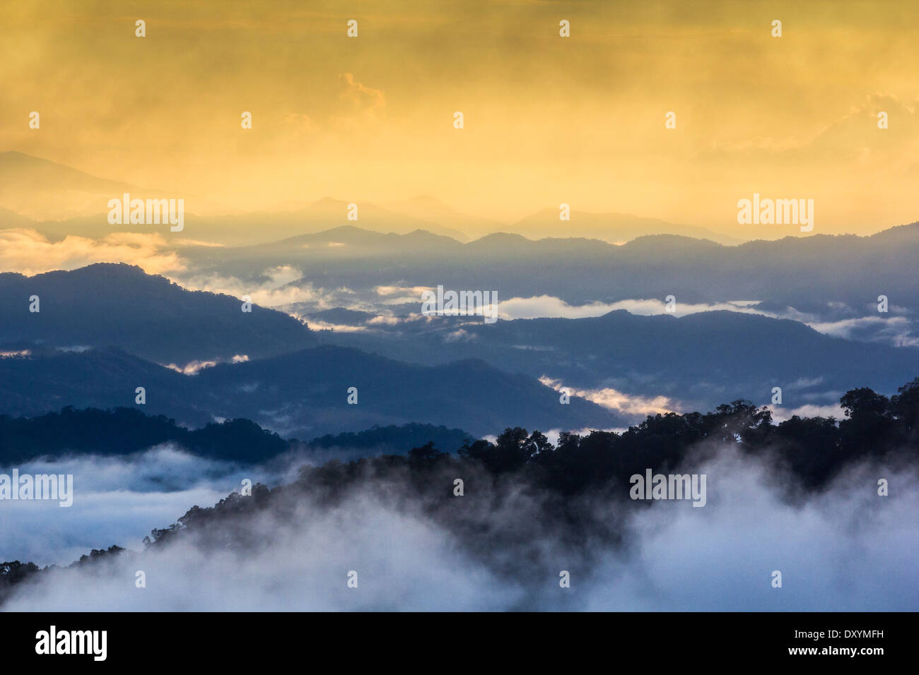 Landschaft Gebirge mit Nebel im Winter Saison gold hellen Hintergrund Stockfoto