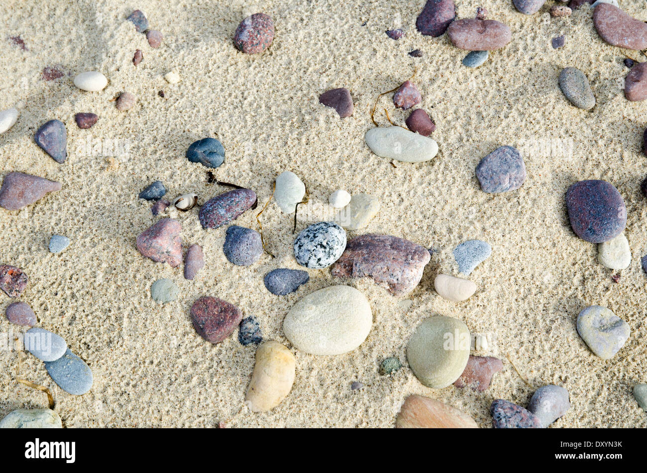 Unberührten Sandstrand mit Kieselsteinen an der Küste der schwedischen Insel Öland in der Ostsee Stockfoto