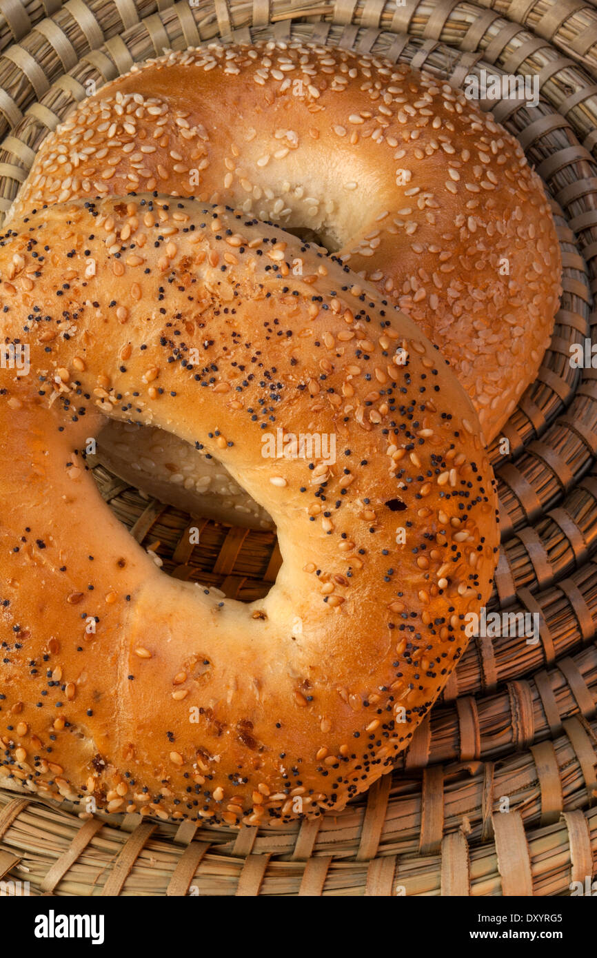 Zwei gebackene frisch amerikanische Bagels Stockfoto