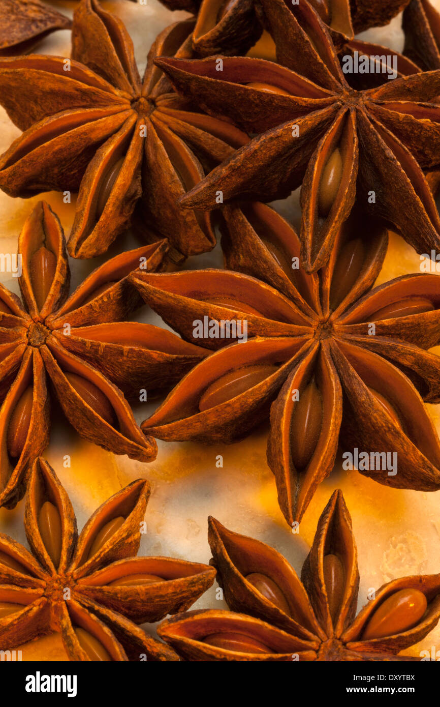 Sternanis ist eine kleine sternförmige Frucht mit einem Samen in jedem Arm. Stockfoto