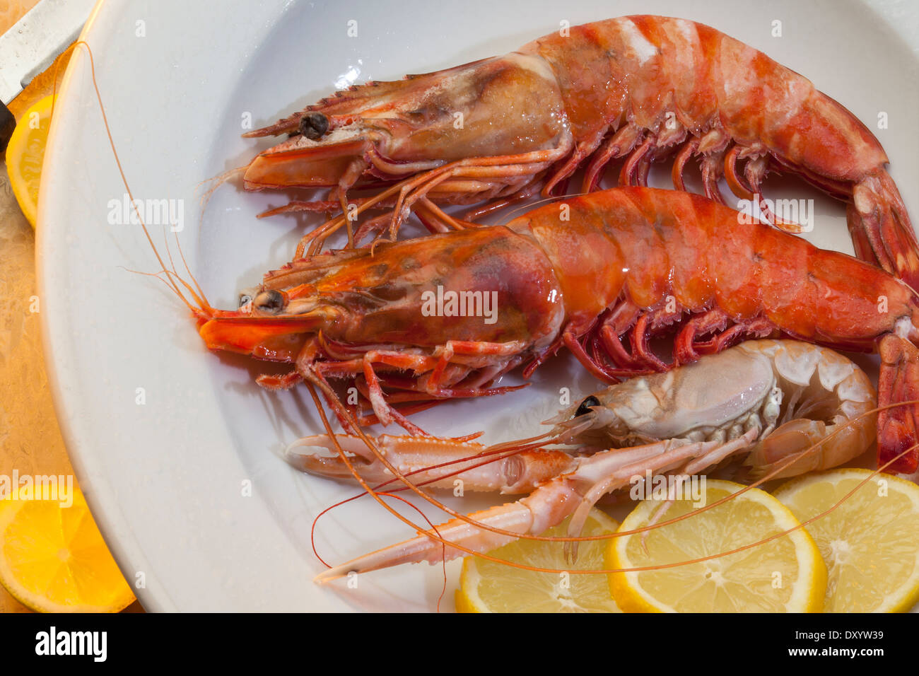 Fischgericht des Tigergarnelen und Scampi Stockfoto