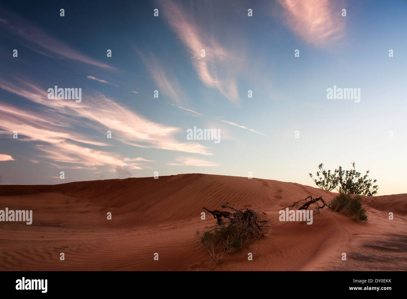 Sanddünen in der Wüste von Dubai Stockfoto