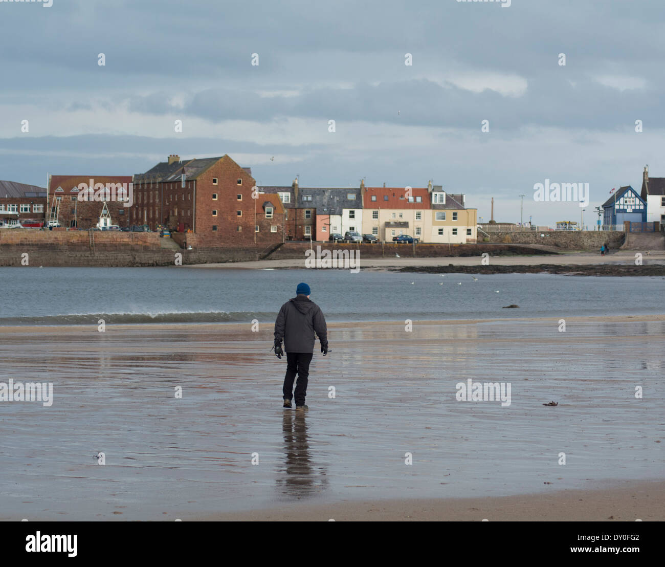 Ein Mann allein zu Fuß am Strand von North Berwick, East Lothian, Schottland. Stockfoto