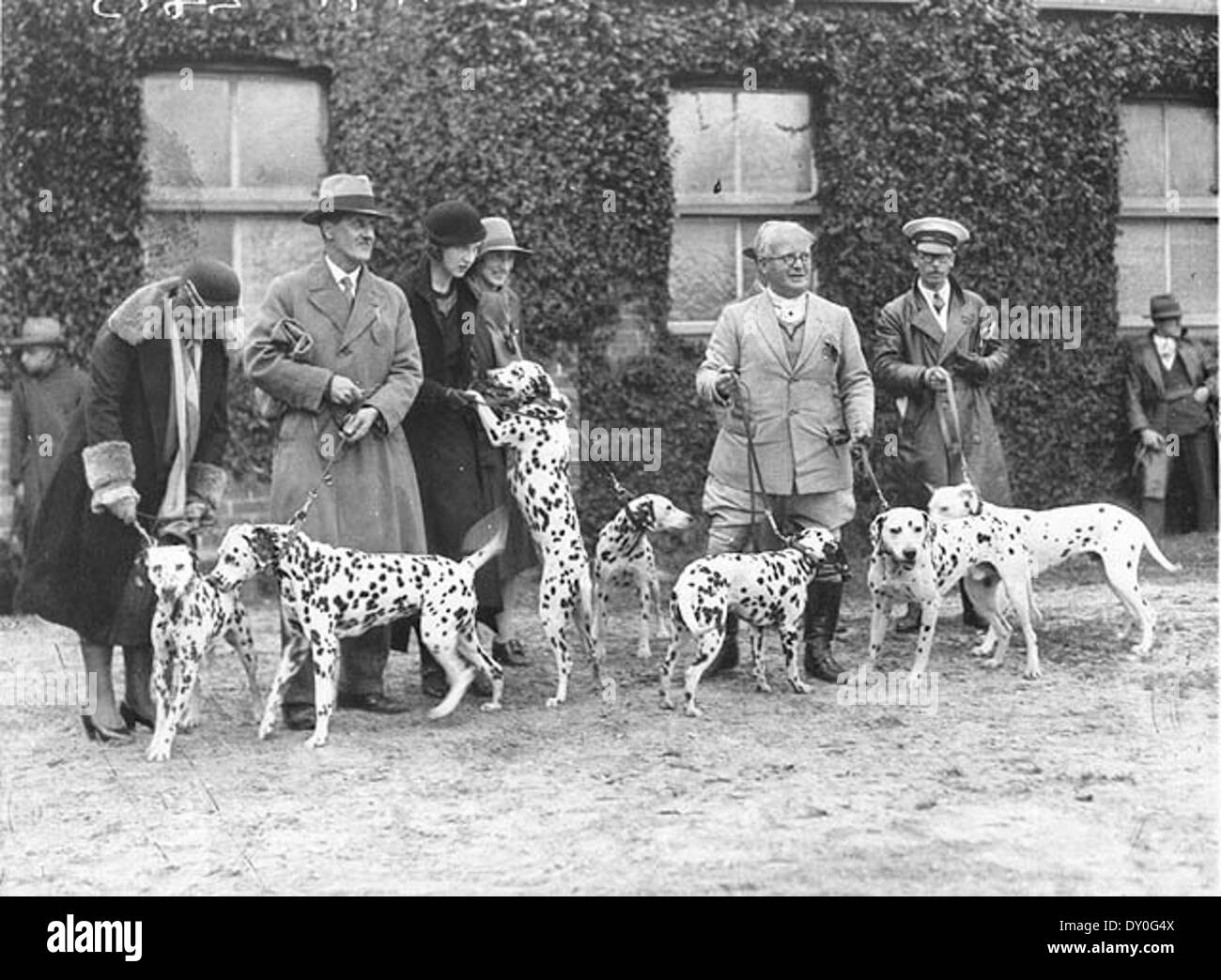 Eine Gruppe von Dalmatiner und ihre Besitzer vor den Richtern der 1920er Jahre oder der 30er Jahre / by Sam Hood Stockfoto