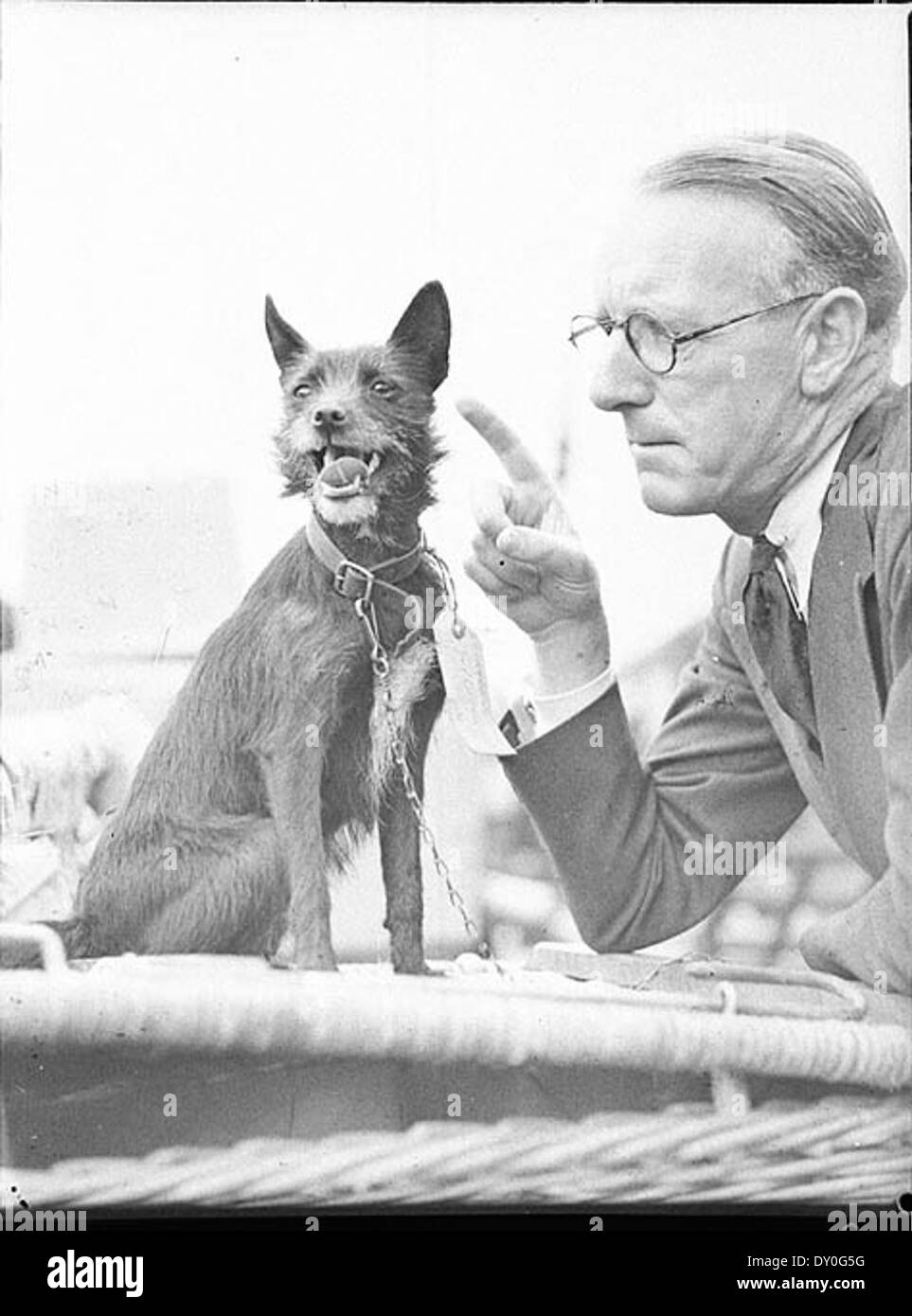 Künstler und Hund kommen durch Melbourne Express (genommen für j.c. Williamson), 12.10.1937 / byTed Haube Stockfoto