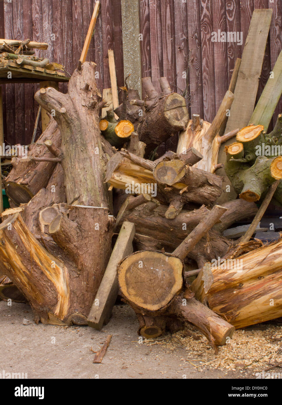 Haufen von Baumstämmen, im Alter von Holz gesägt und gespalten werden. Stockfoto