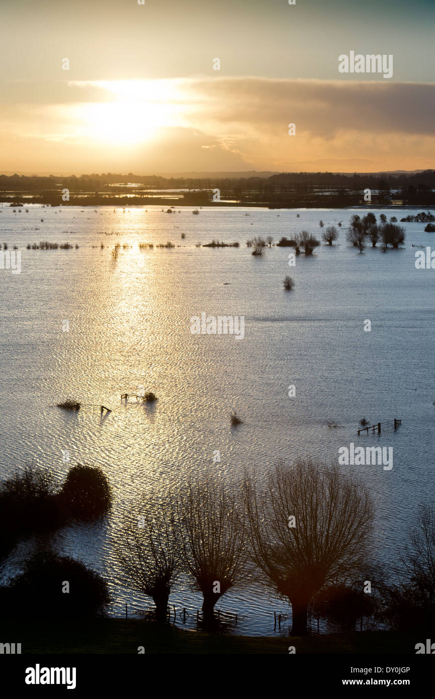 Tagesanbruch über die überfluteten Felder der Somerset Levels in der Nähe von Burrowbridge UK Februar 2014 Stockfoto