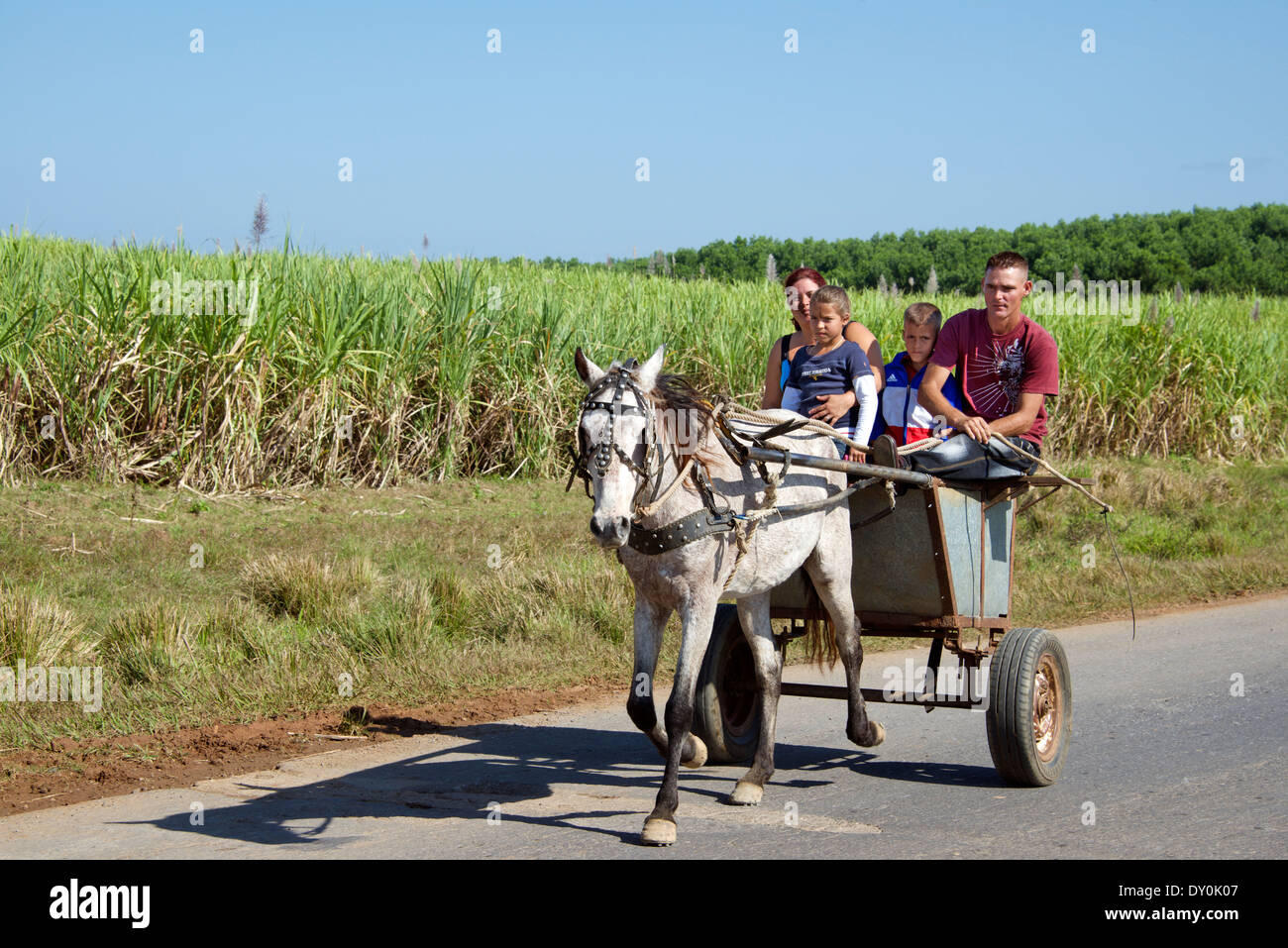Familie in Pferd gezogenen Wagen Vinales Kuba Stockfoto