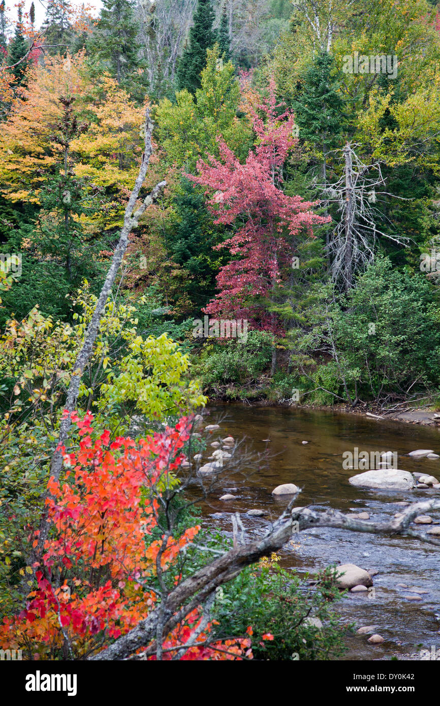Die Ausable River im frühen Herbst, östlich von Lake Placid, New York. Stockfoto