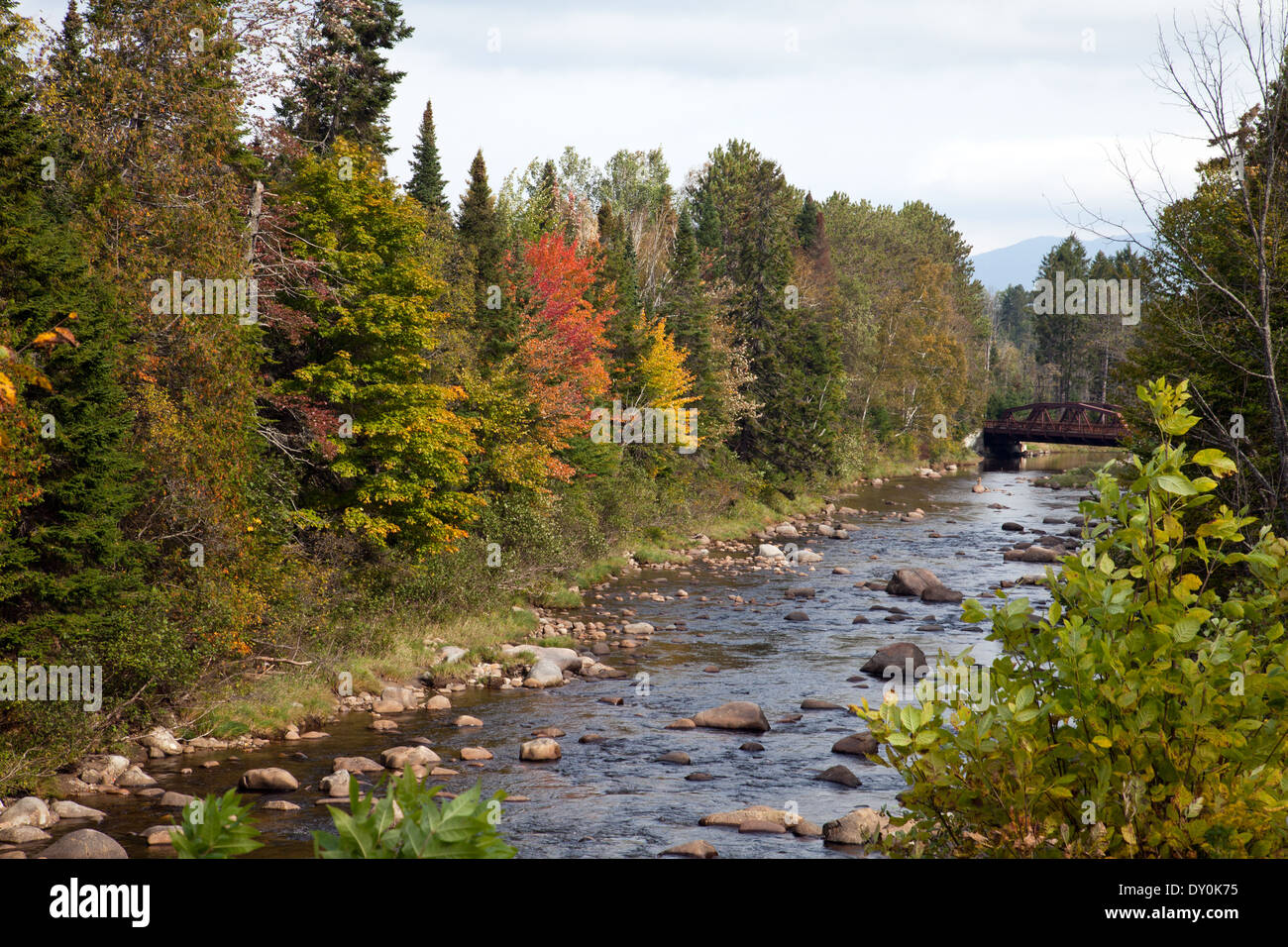 Die Ausable River im frühen Herbst, östlich von Lake Placid, New York. Stockfoto