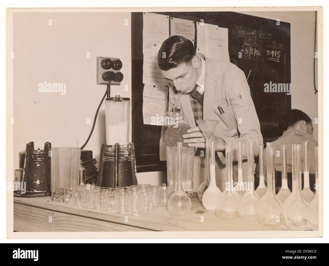 C.S.I.R. Canning Forschungslabor untersucht Kaninchen Laktose, 1946, von Sam Hood Stockfoto