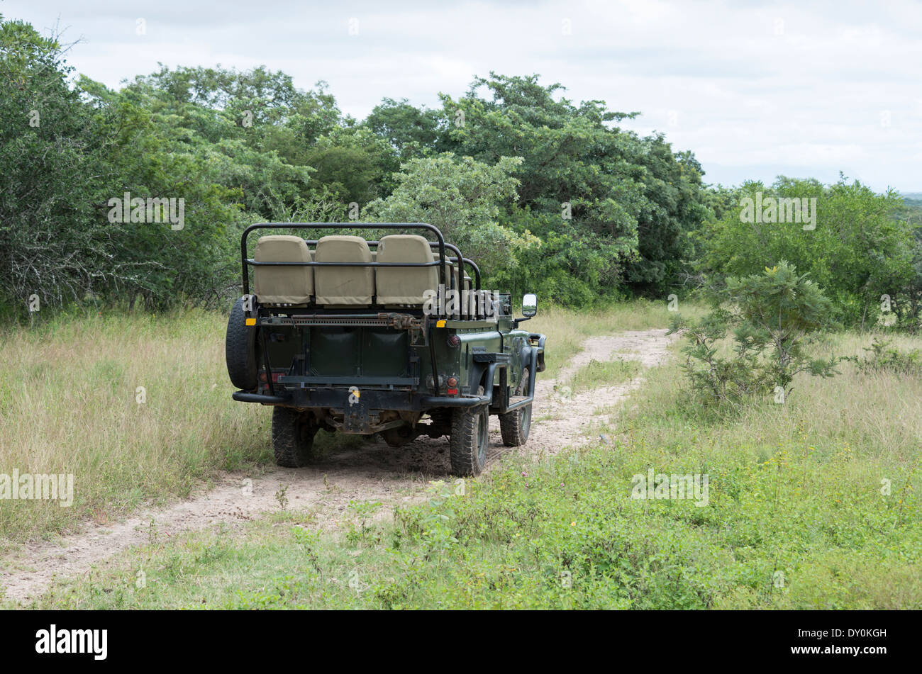 Öffnen Sie Safari in Südafrika Natur mit Bäumen und hohen Gräsern Stockfoto