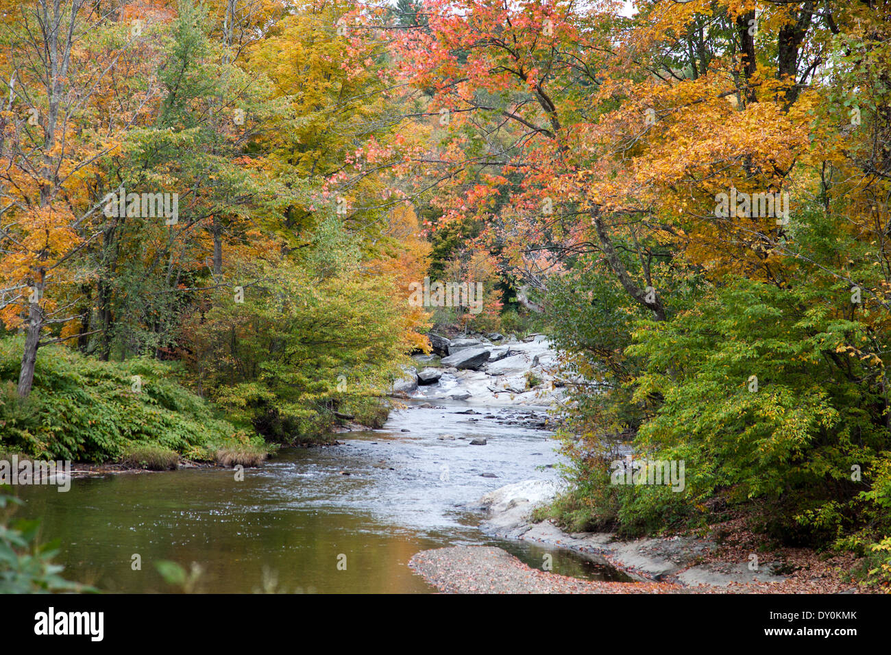 Frühherbst Farbe Rahmen Black Creek im Norden Vermont. Stockfoto