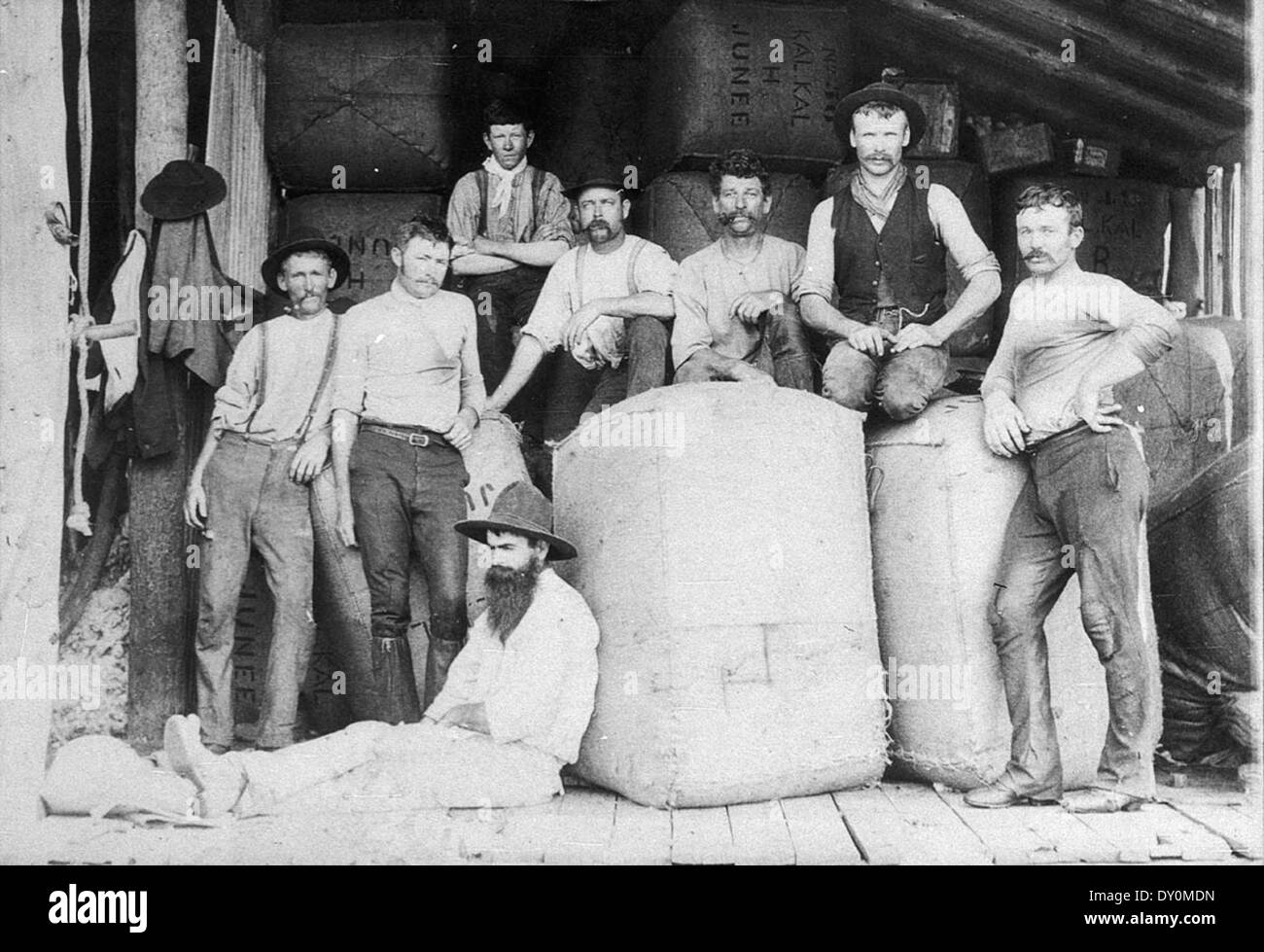 Scherer mit Ballen, die an den Junee-Eisenbahnkopf ausgezogen werden. George Howard (der Wahlschalter) sitzt gegen Ballen - Ariah Park, NSW, c. 1896 Stockfoto