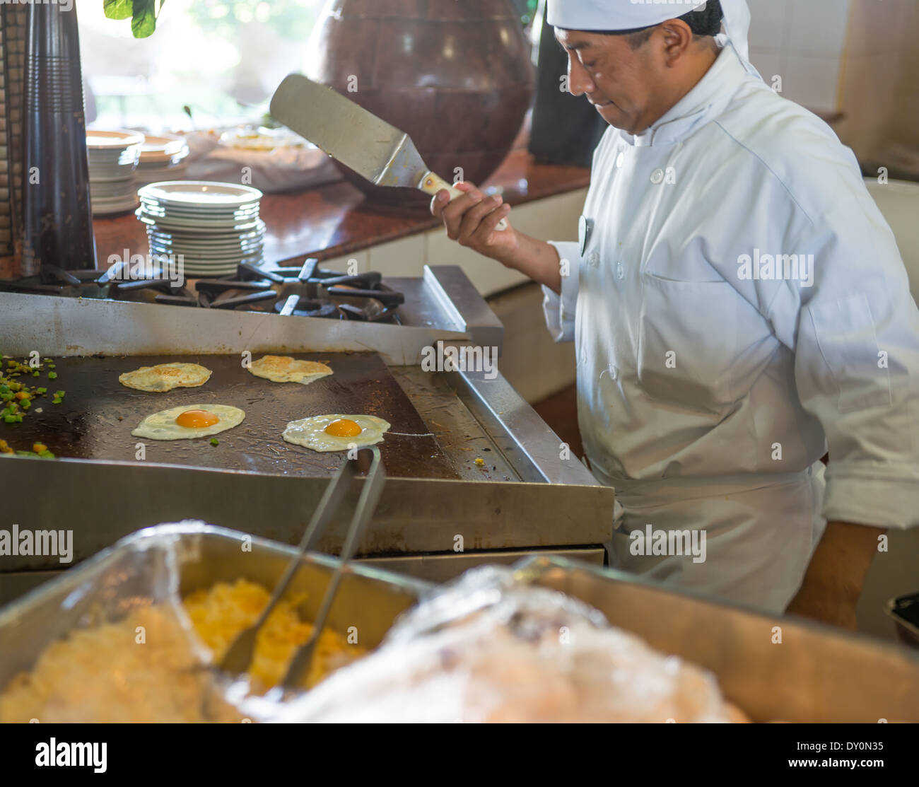 Koch Kochen Stockfoto