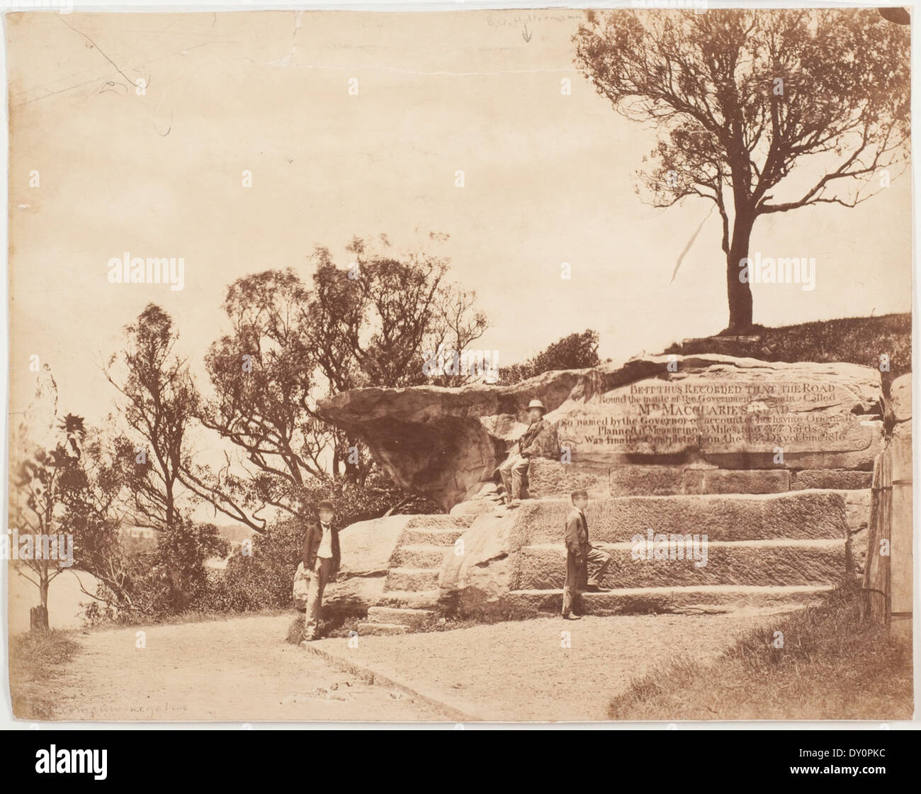 Frau Macquarie Stuhl, Sydney, ca. 1870-1875 / Fotograf American & Australasian Photographic Company Stockfoto