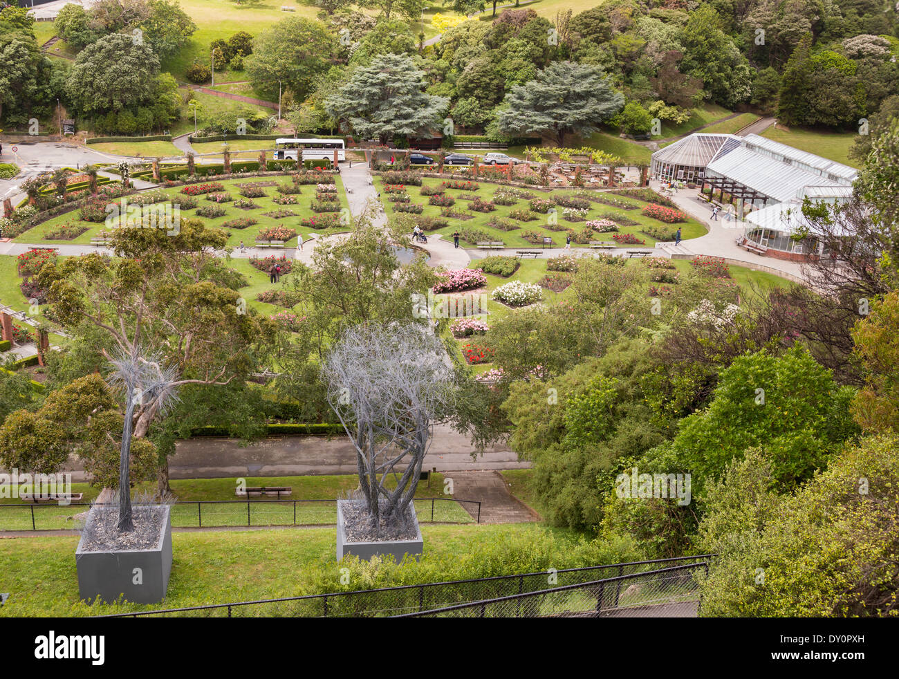Botanischer Garten, Wellington, New Zealand - Überblick über die Lady Norwood Rose Garden Stockfoto