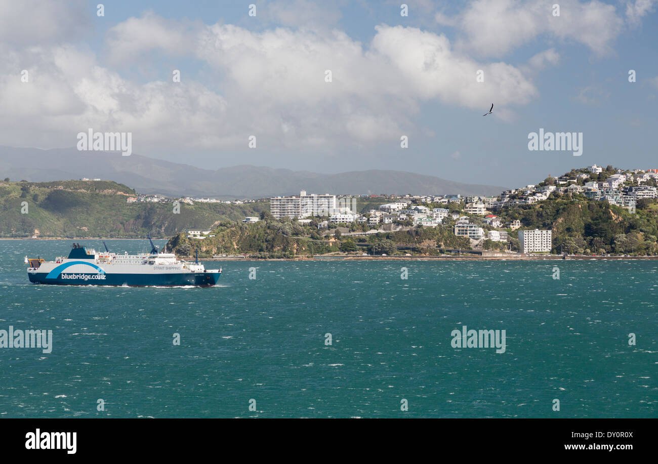 BlueBridge Fähre Schiff betritt den Hafen in Wellington, Neuseeland Stockfoto