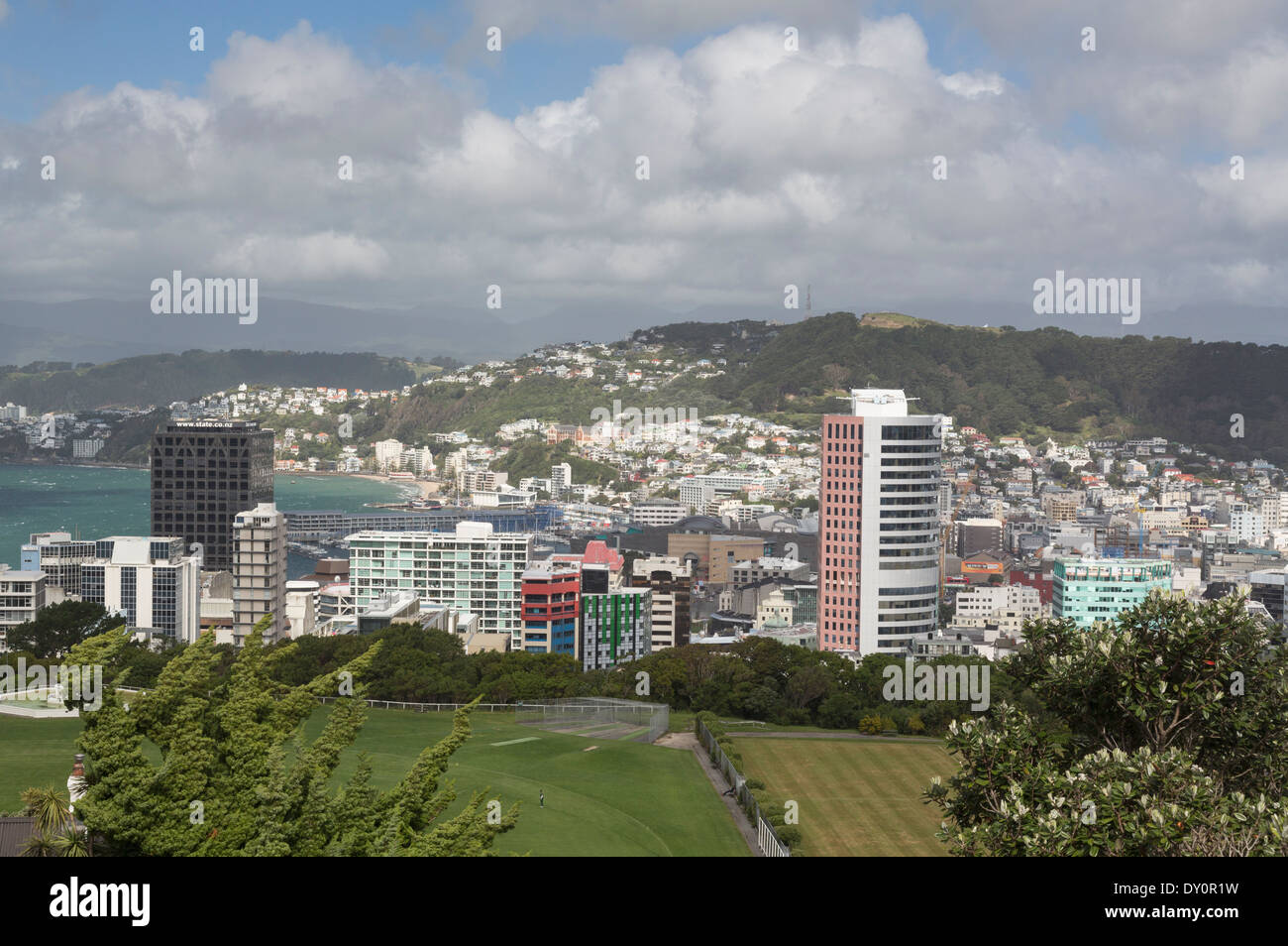 Wellington, New Zealand - Stadtbild der Innenstadt Wolkenkratzer und Bürogebäude im CBD Finanzviertel Stockfoto