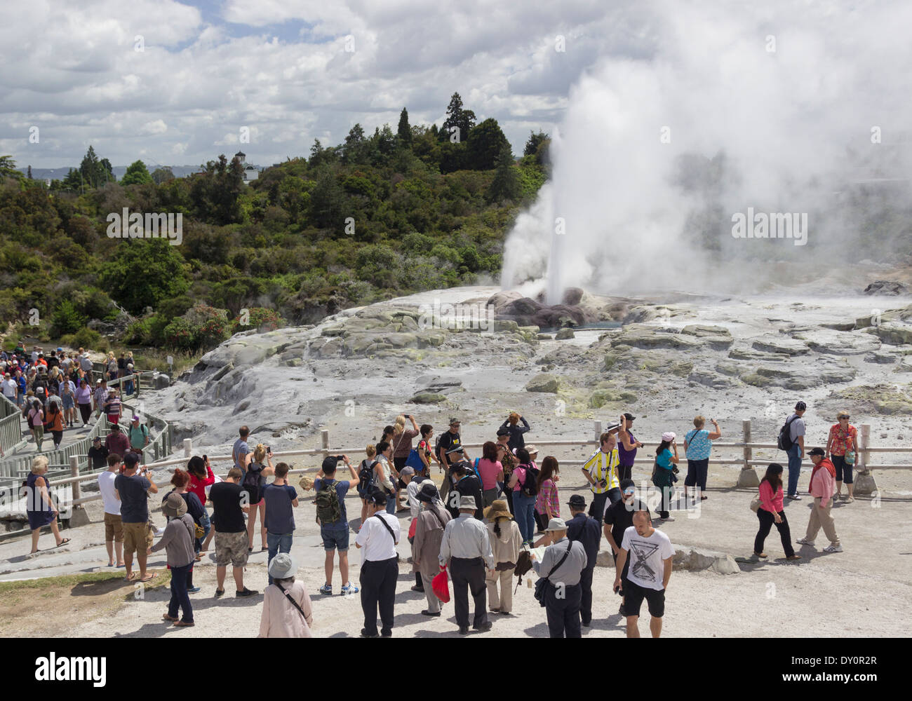 Touristen sehen einen Geysir in Whakarewarewa Geothermie Tal, Rotorua, Neuseeland Stockfoto