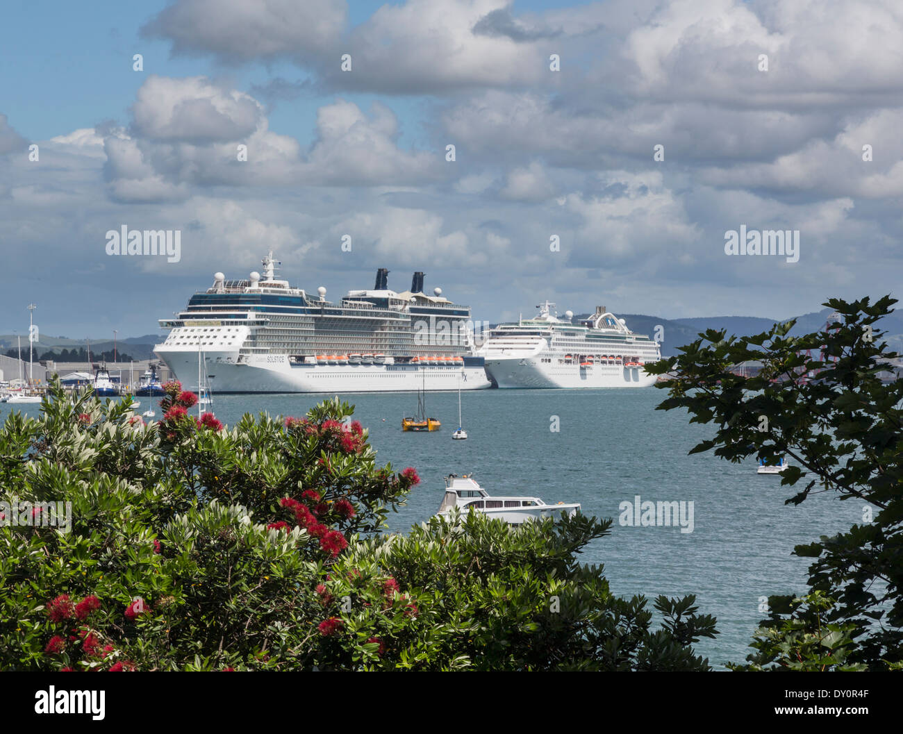 Kreuzfahrtschiffe in der Bay of Plenty in Tauranga, Neuseeland Stockfoto