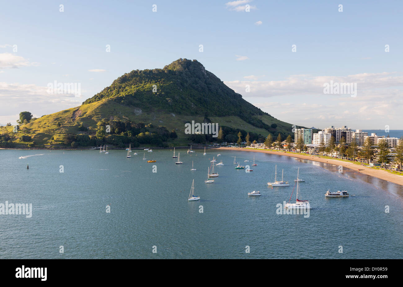 New Zealand - Bay of Plenty in Tauranga Stadt und Strand Stockfoto