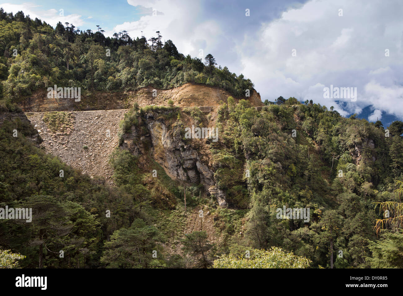 Ost Bhutan, Thrumsing La Pass Weg zur Bergbesteigung Mongar Stockfoto