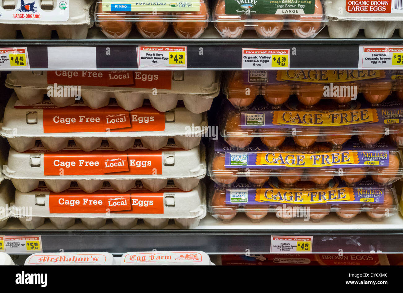 Cage sich Eier in New York Supermarkt Stockfoto