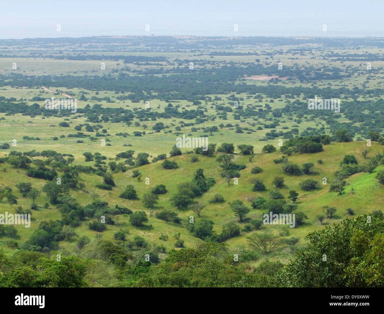 sonnigen Luftaufnahme des Kabwoya Wildlife Reserve in Uganda (Afrika) Stockfoto