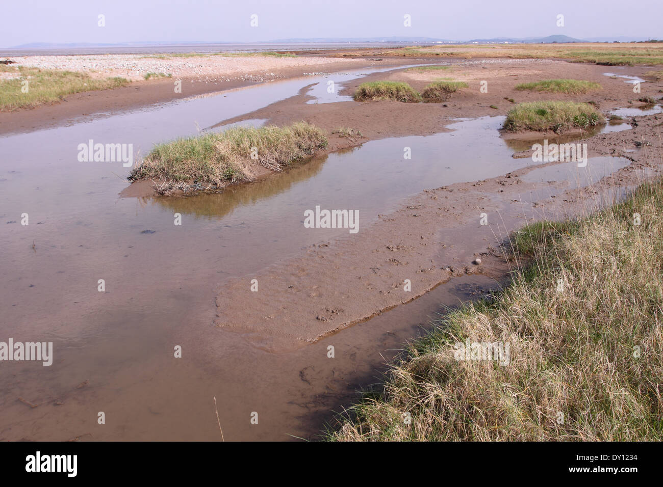 Steart Marshes Küstensalzwasser Sumpf auf der Steart Peninsula Somerset gegenüber Bridgwater Bay UK Stockfoto