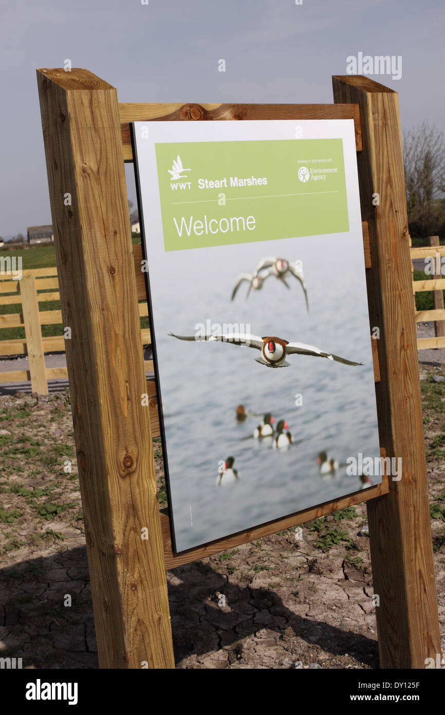 Steart Marshes ein neues Salzwiesen-Projekt von der Wildfowl & Feuchtgebiete Vertrauen WWT verwaltet und der Environment Agency eröffnet 2014 Stockfoto