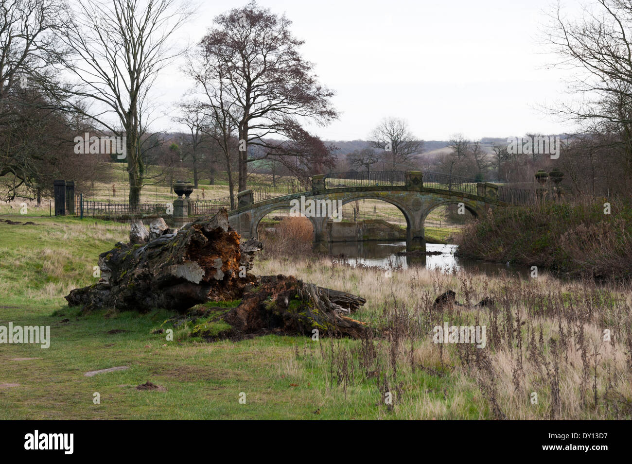 Teil der Parkanlage an der Yorkshire Sculpture Park West Bretton Wakefield England Vereinigtes Königreich UK Stockfoto