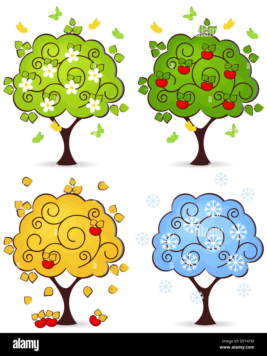 Vier Jahreszeiten Frühling, Sommer, Herbst und Winter in einem Baum isoliert auf weißem Hintergrund Stockfoto