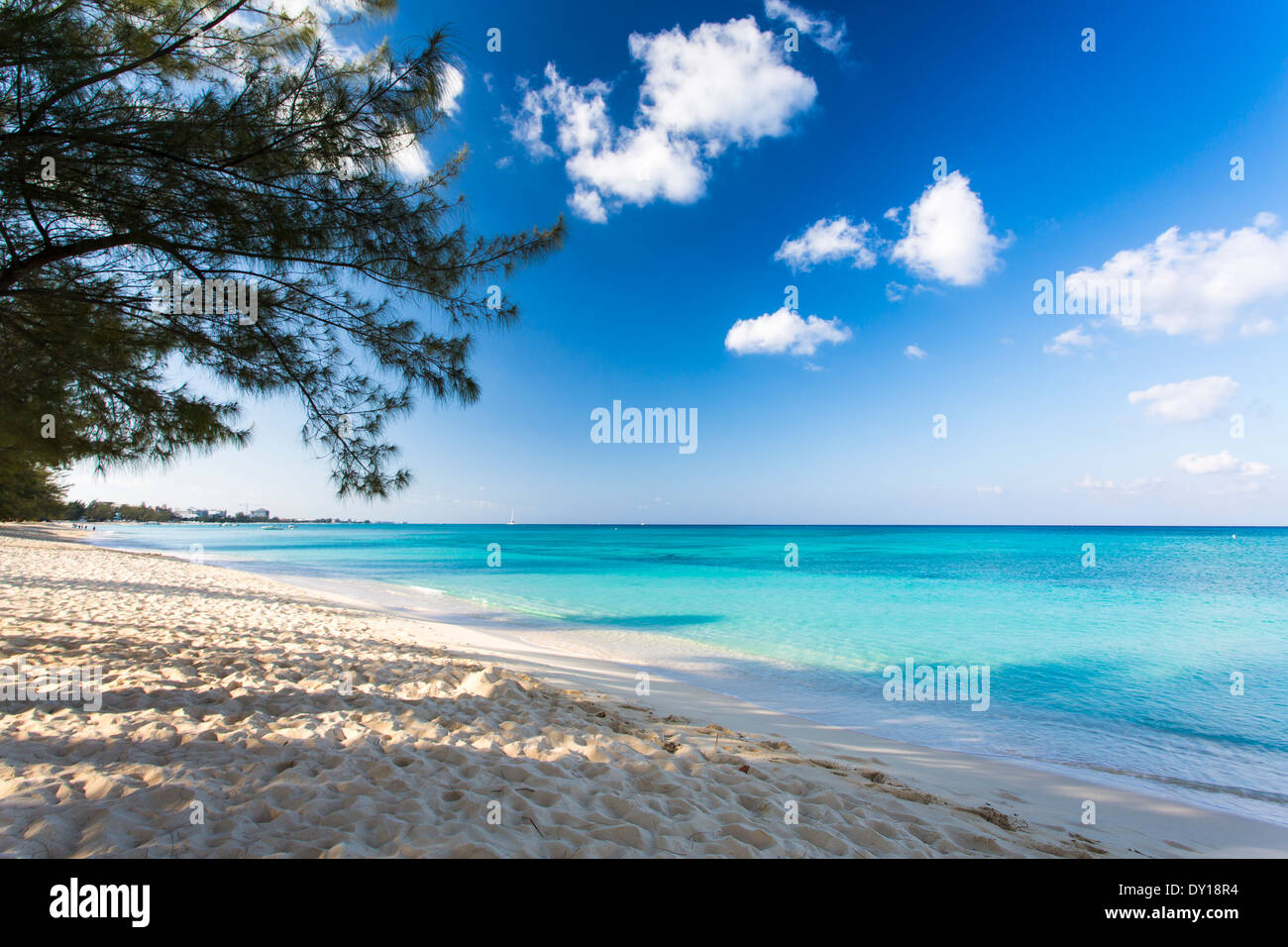 Frühmorgens am Seven Mile Beach, Grand Cayman, Cayman-Inseln, Karibik. Stockfoto