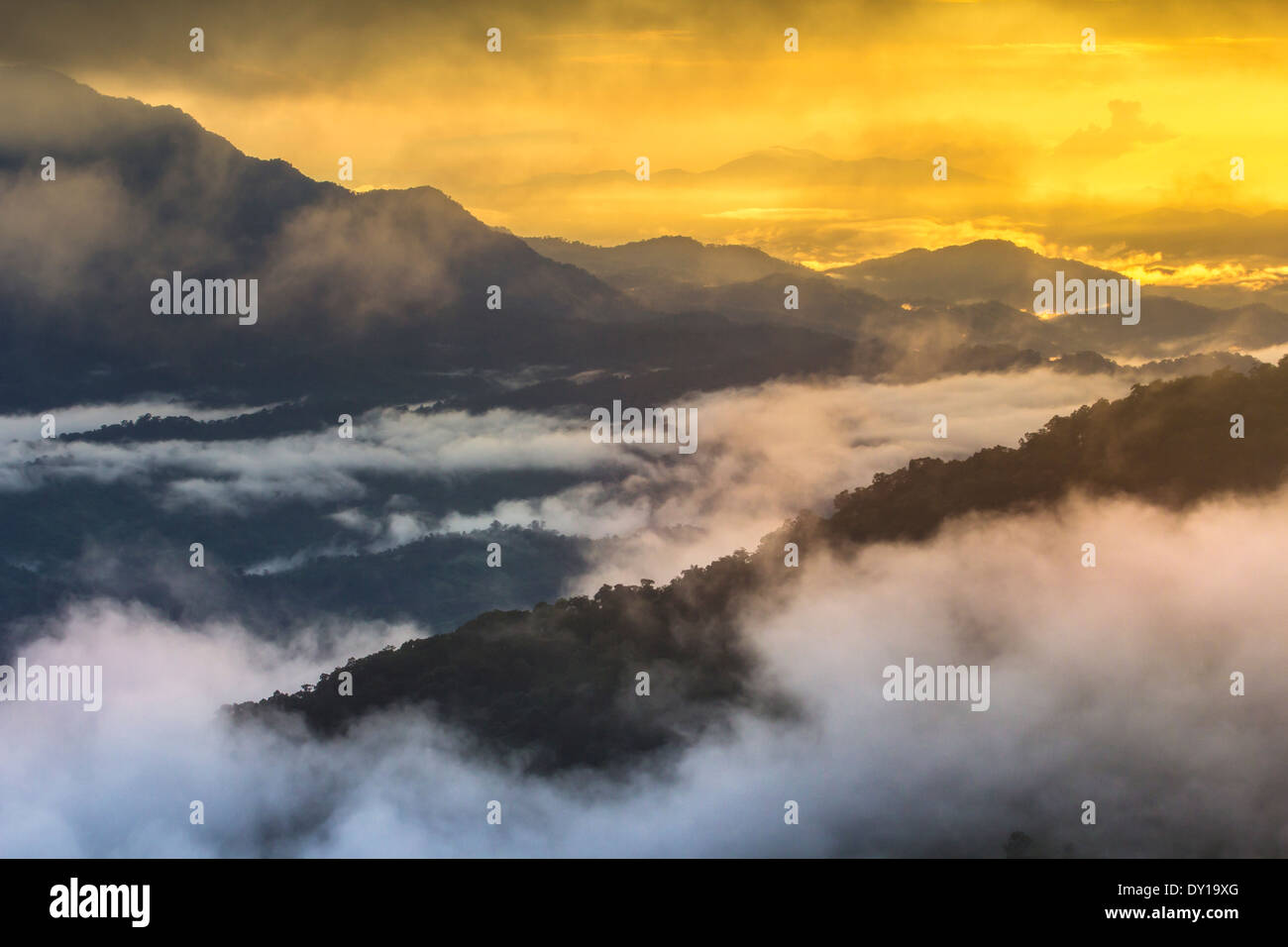 Landschaft-Schicht-Gebirge mit Nebel im Winter Saison gold hellen Hintergrund Stockfoto