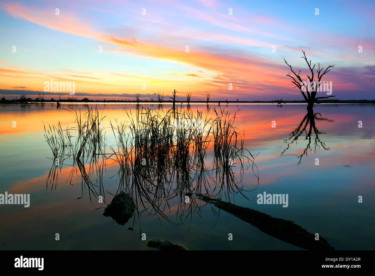 Wasser frisch Tote Gum Baum See Sonnenuntergang Loch Luna Schilf gefallenen Baumstamm Barmera Riverland South Australia Sand Wellen shorelin Stockfoto