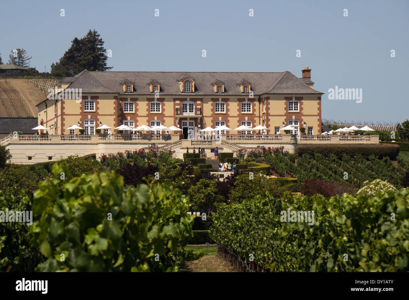 Domaine Carneros Winery, Napa, Kalifornien, USA Stockfoto