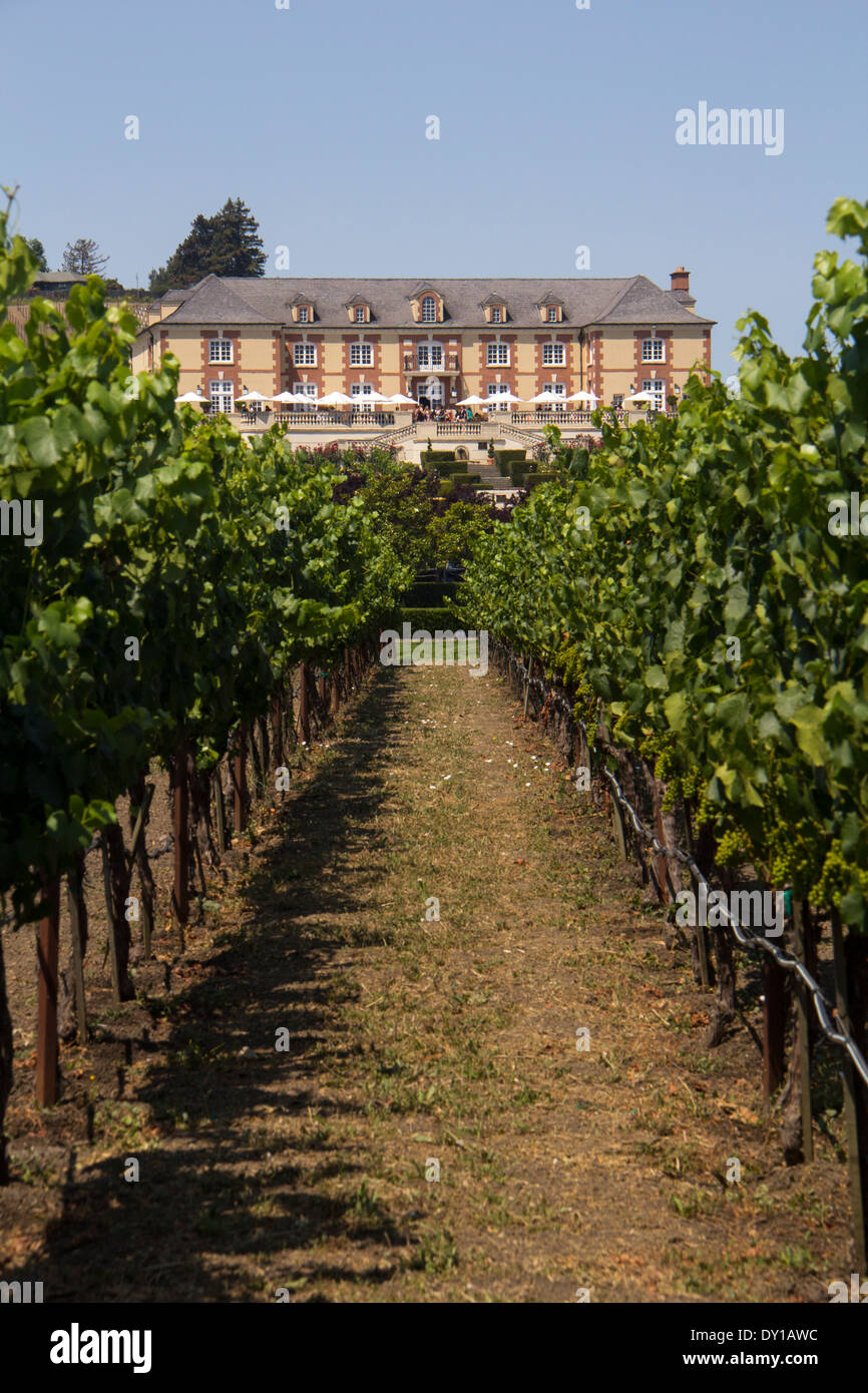 Domaine Carneros Winery, Napa, Kalifornien, USA Stockfoto