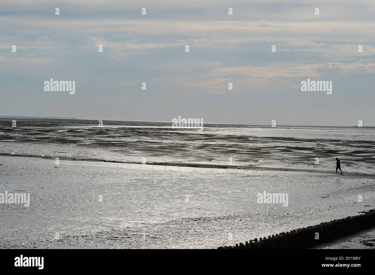 Spaziergang Im Watt, Wandern im watt Stockfoto