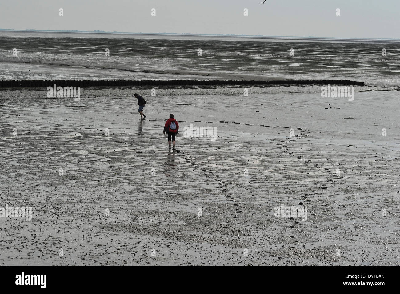 Spaziergang Im Watt, Wandern im watt Stockfoto