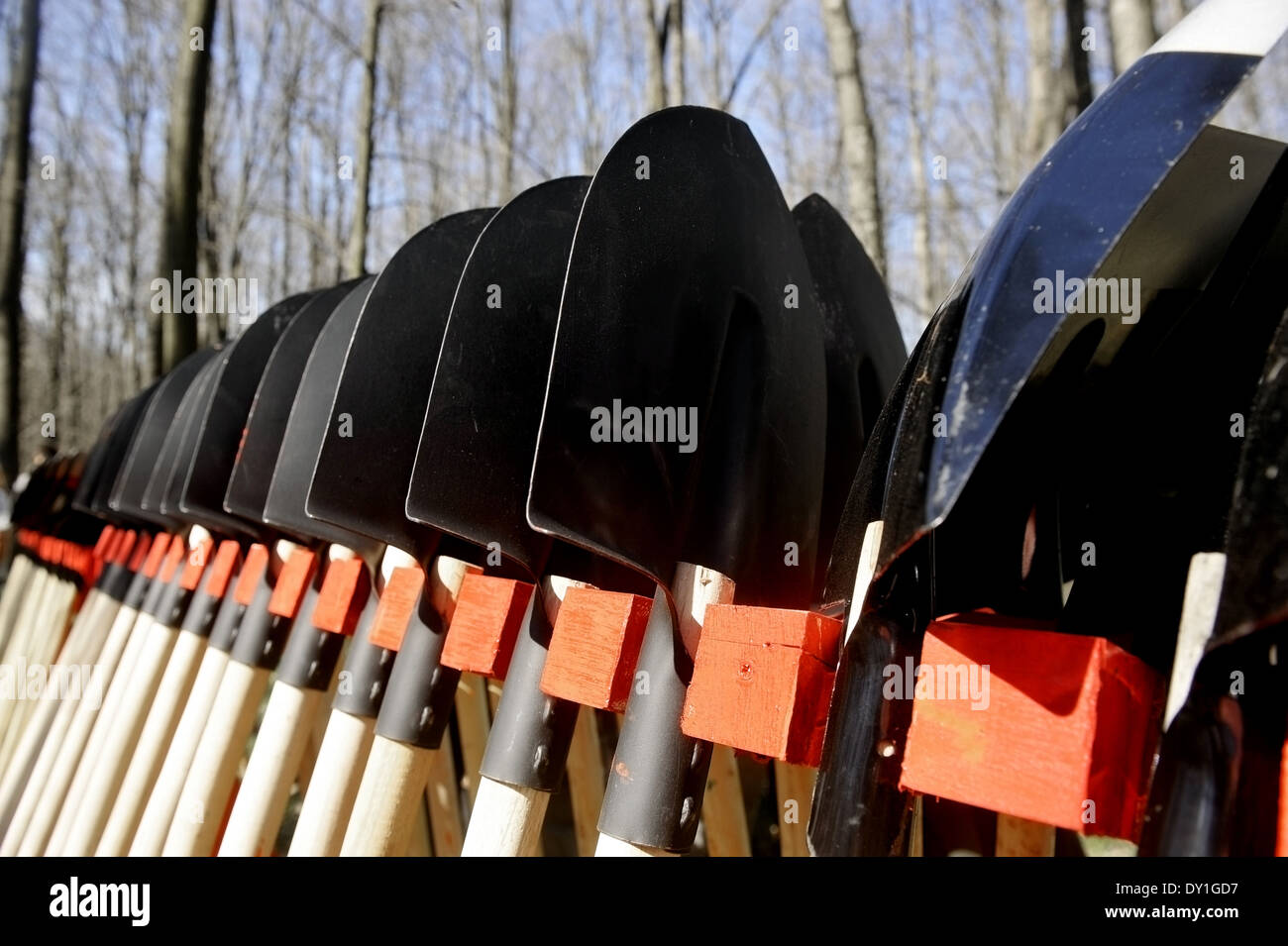 Mehrere schwarze im Garten Schaufeln in Folge Stockfoto