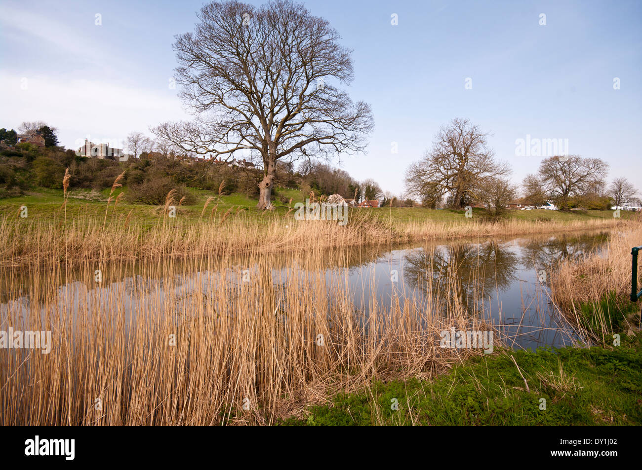 Die Royal Military Canal bei Winchelsea East Sussex England Stockfoto